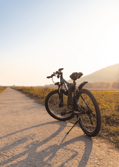 Journée VTT électrique