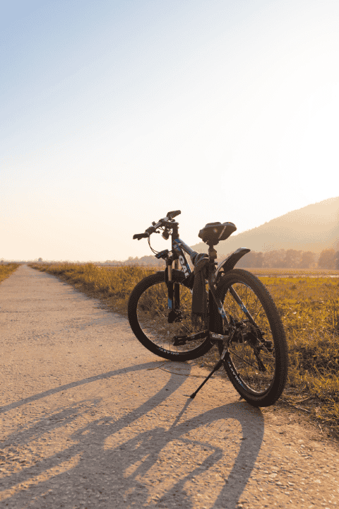 Service conciergerie, une journée de VTT électrique sur les hauteurs d'Annecy avec LLA Selections